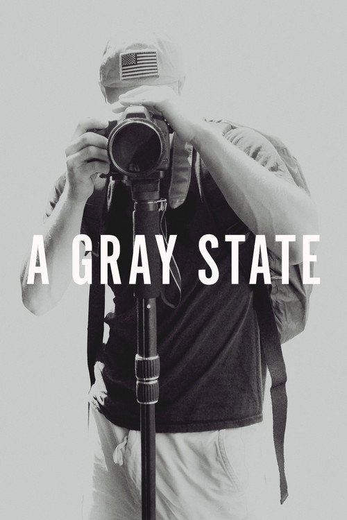 A Gray State (2017) movie poster