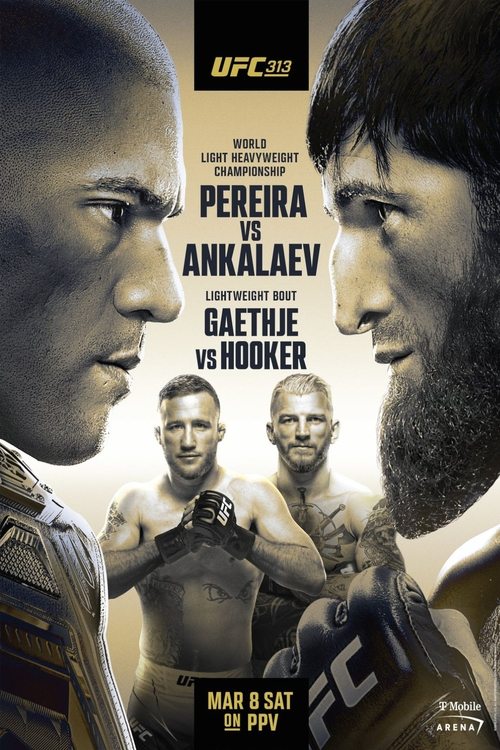 UFC 313: Pereira vs. Ankalaev (2025) movie poster