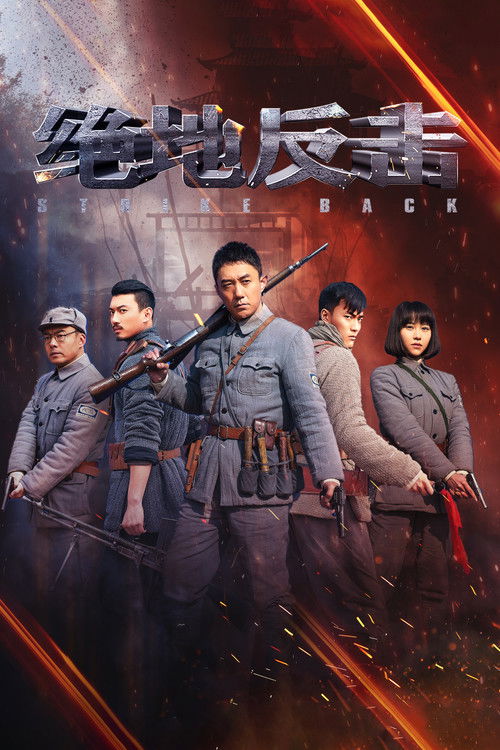 Strike Back (2020) TV show poster