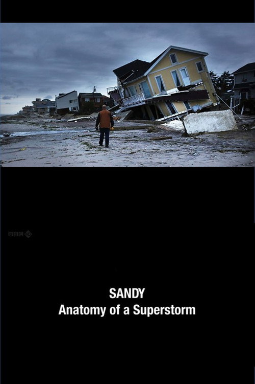 Sandy: Anatomy of a Superstorm (2012) movie poster