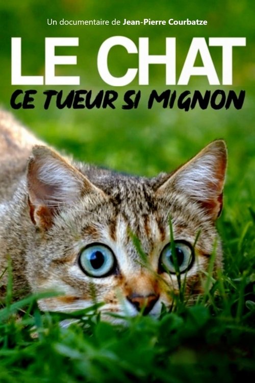 The Cat: A Cuddly Killer (2019) movie poster