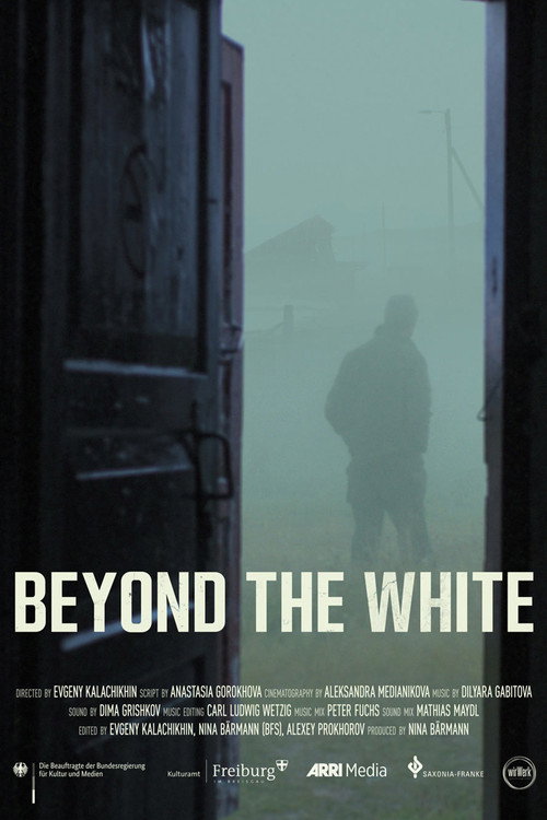 Beyond the White (2021) movie poster