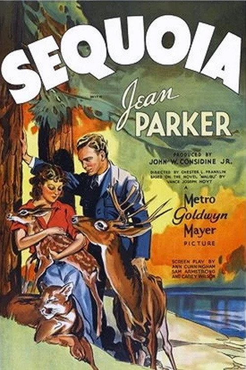 Sequoia (1935) movie poster