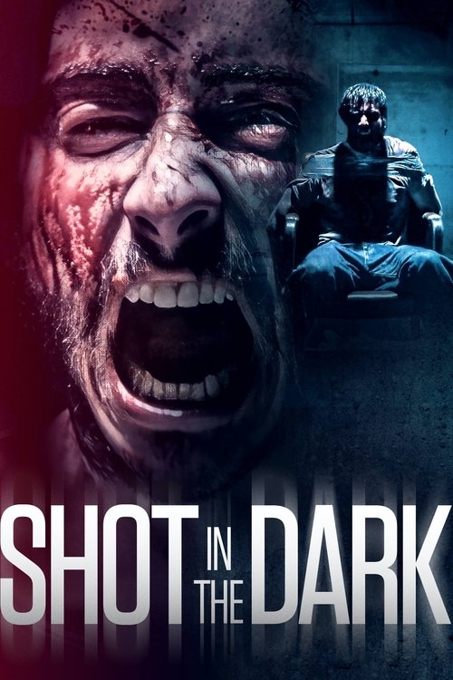 Shot in the Dark (2021) movie poster
