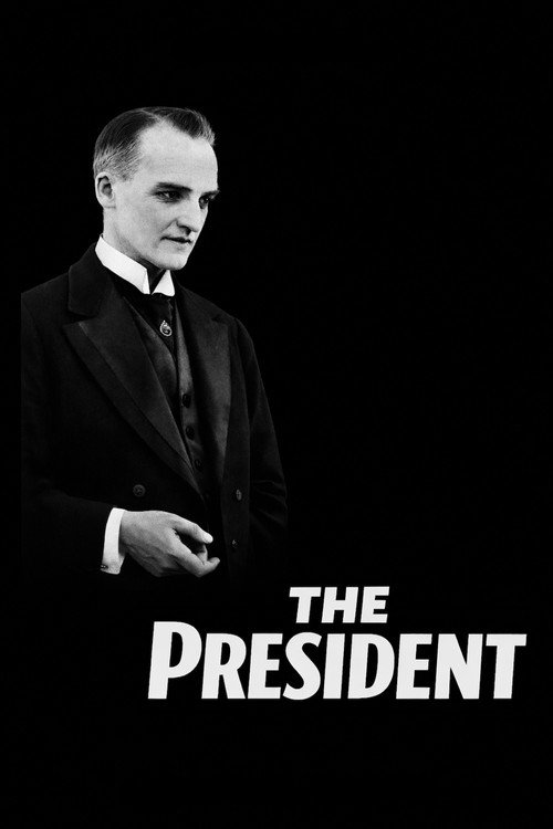 The President (1919) movie poster