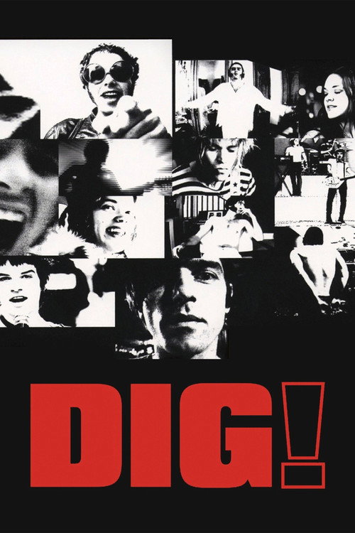 Dig! (2004) movie poster