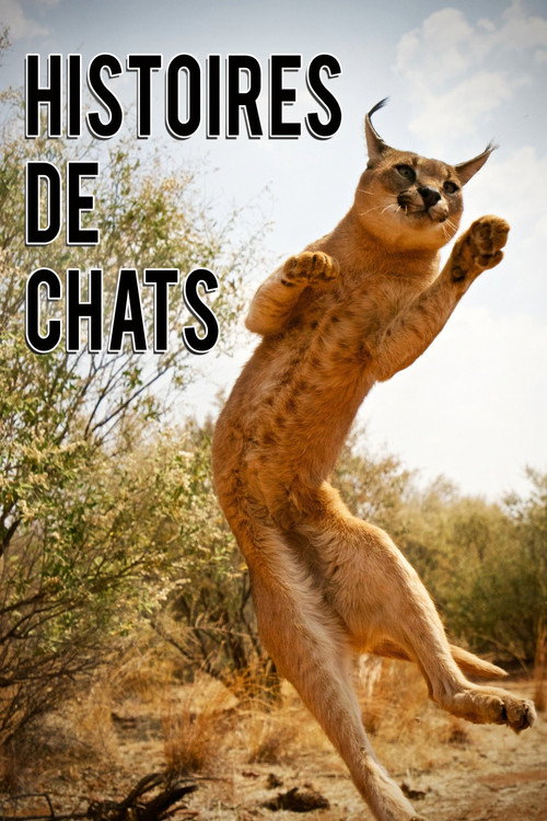 The Story of Cats (2016) TV show poster