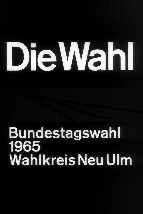 Die Wahl - Bundestagswahl 1965, Wahlkreis Neu-Ulm (1966) movie poster