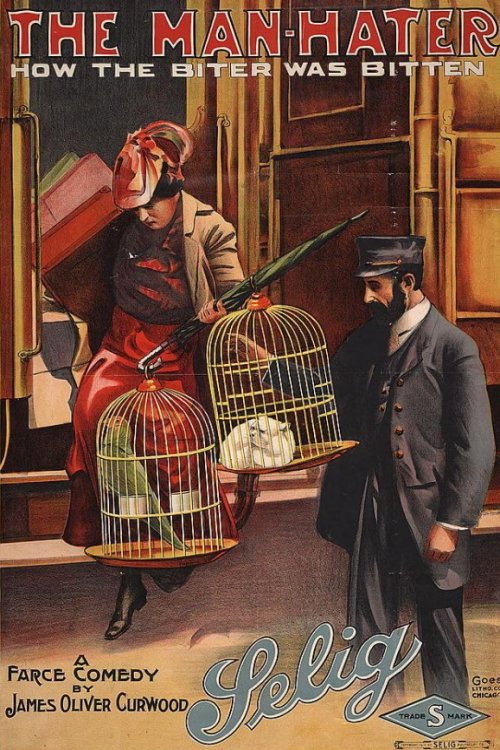 The Man Hater (1917) movie poster