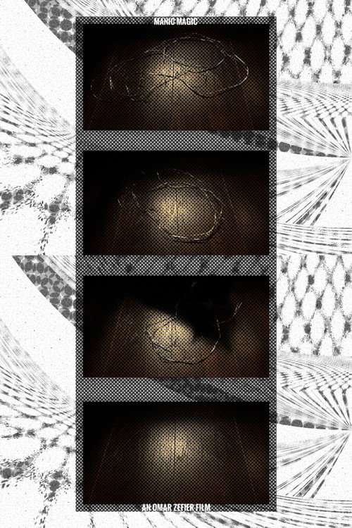 Manic Magic: a Poem in Four Parts (2025) movie poster
