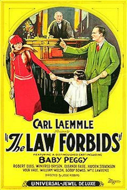The Law Forbids (1924) movie poster