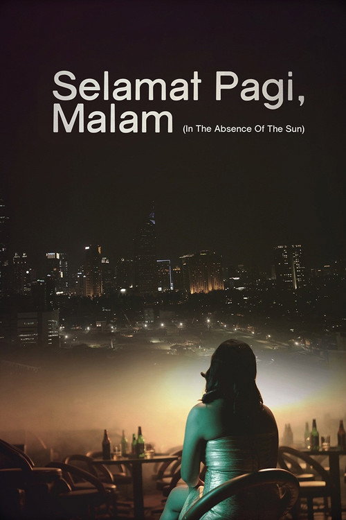 In the Absence of the Sun (2014) movie poster