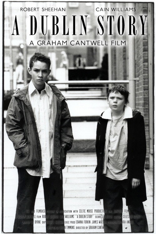 A Dublin Story (2003) movie poster
