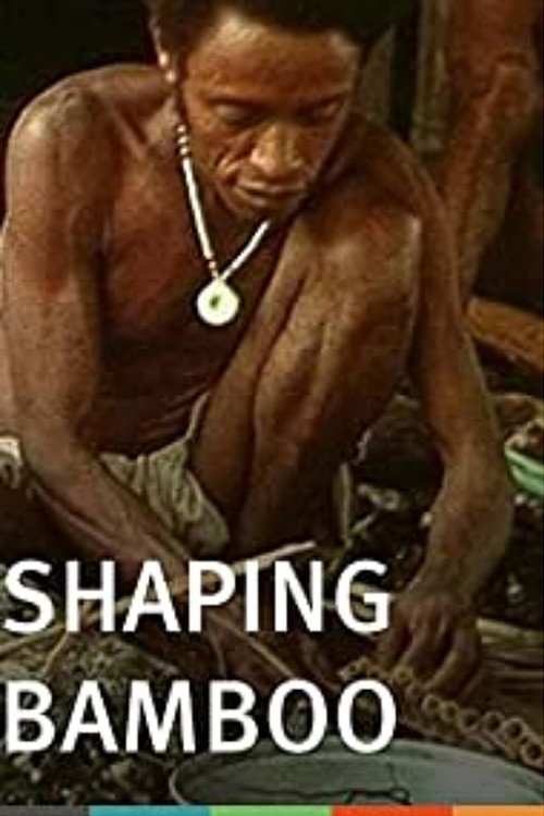 Shaping Bamboo (1979) movie poster
