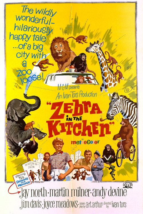 Zebra in the Kitchen (1965) movie poster