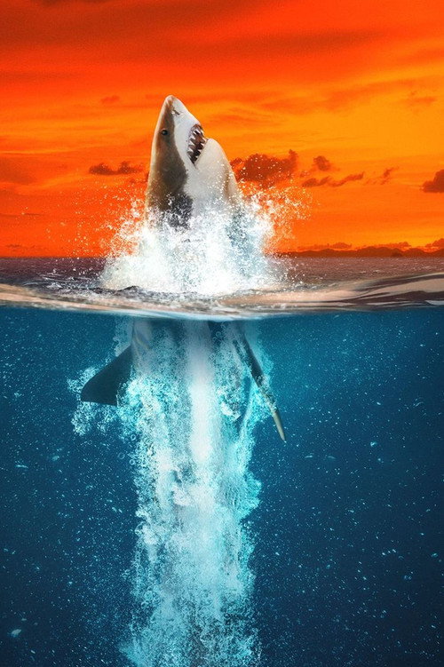 Air Jaws: Going for Gold (2021) movie poster