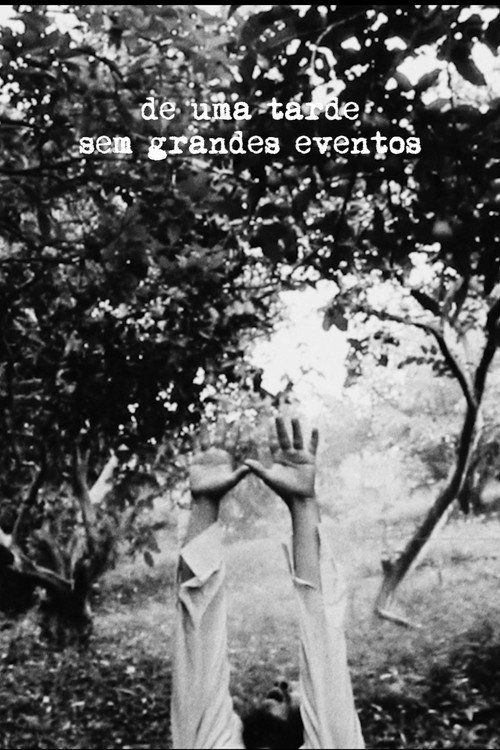 De Uma Tarde Sem Grandes Eventos (2021) movie poster