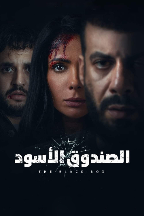 The Black Box (2020) movie poster