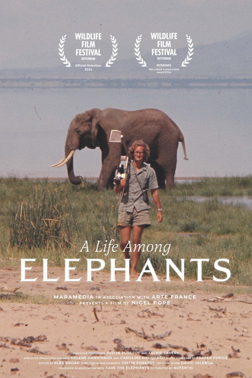 A Life Among Elephants (2024) movie poster