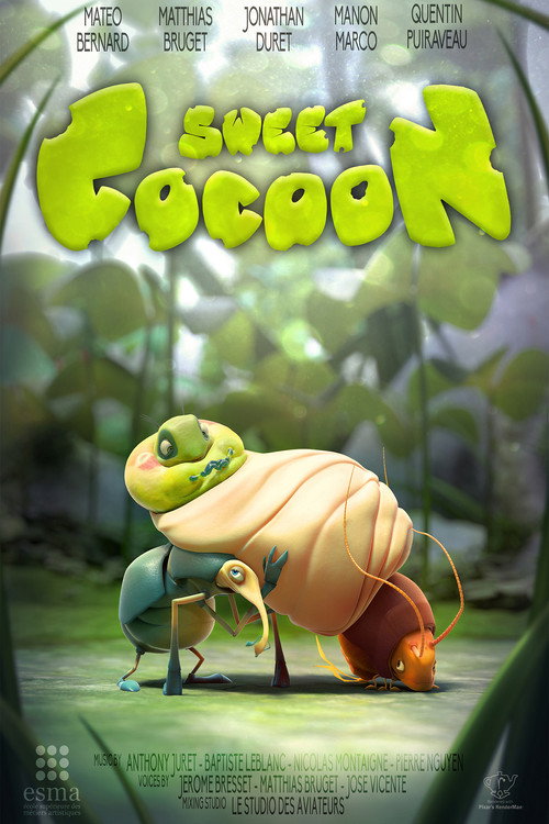 Sweet Cocoon (2014) movie poster