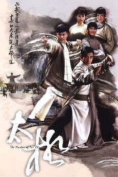 The Master of Tai Chi (2008) TV show poster