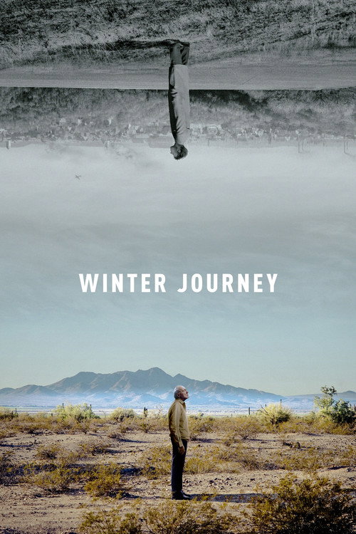 Winter Journey (2019) movie poster
