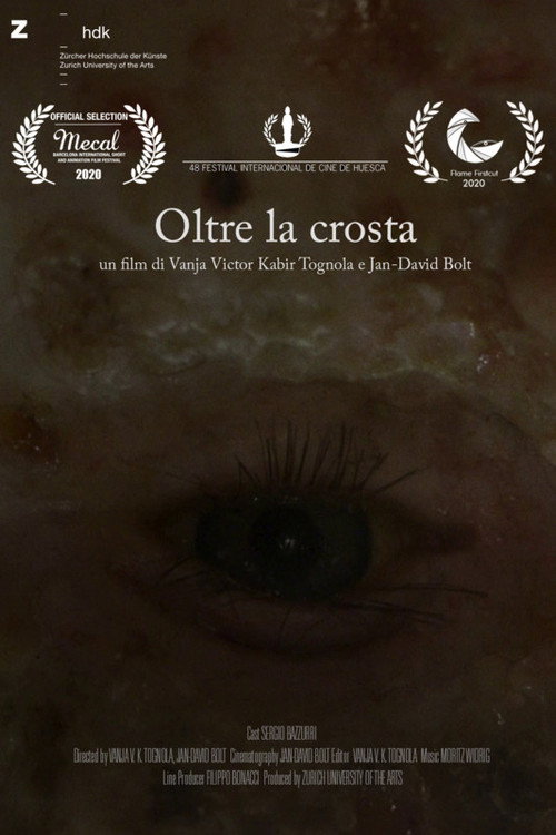In the Eye of the Beholder (2020) movie poster