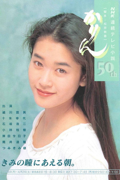 Karin (1993) TV show poster