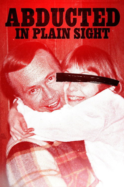 Abducted in Plain Sight (2017) movie poster
