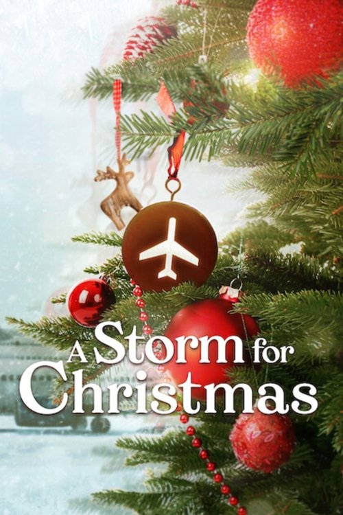 A Storm for Christmas (2022) TV show poster