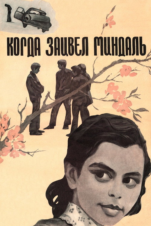 When Almonds Blossomed (1973) movie poster