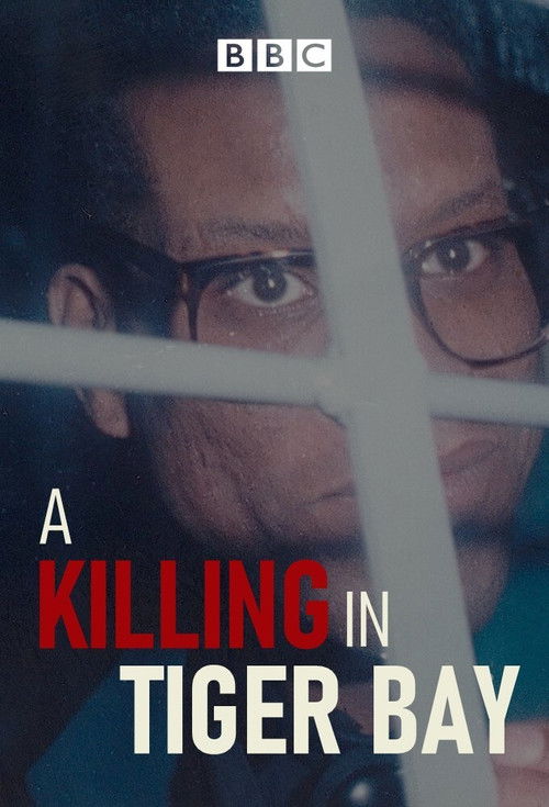 A Killing in Tiger Bay (2021) TV show poster