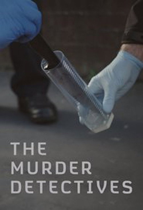 The Murder Detectives (2015) TV show poster
