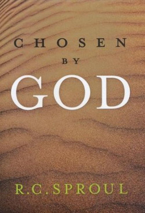 Chosen by God (1986) TV show poster
