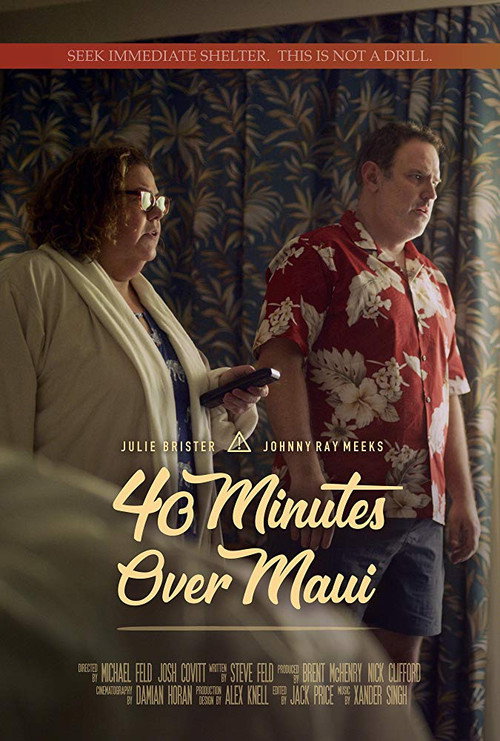 40 Minutes Over Maui (2019) movie poster