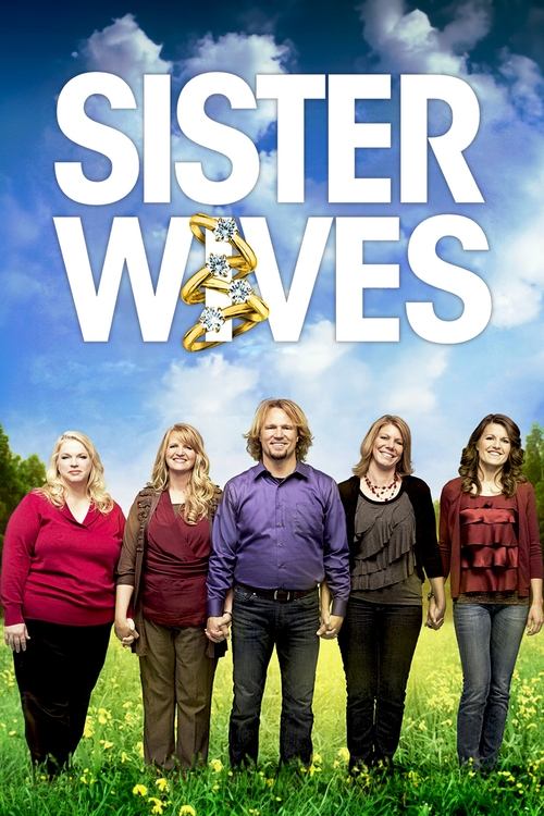 Sister Wives (2010) TV show poster