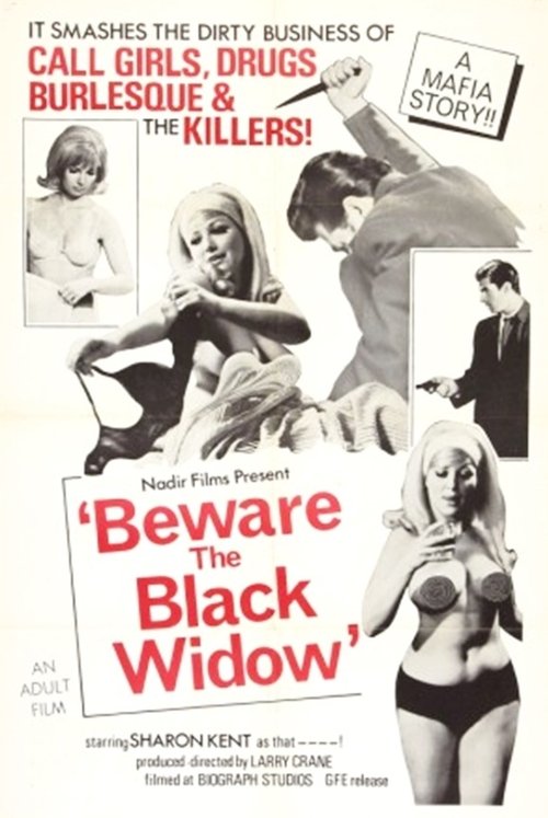 Beware the Black Widow (1968) movie poster