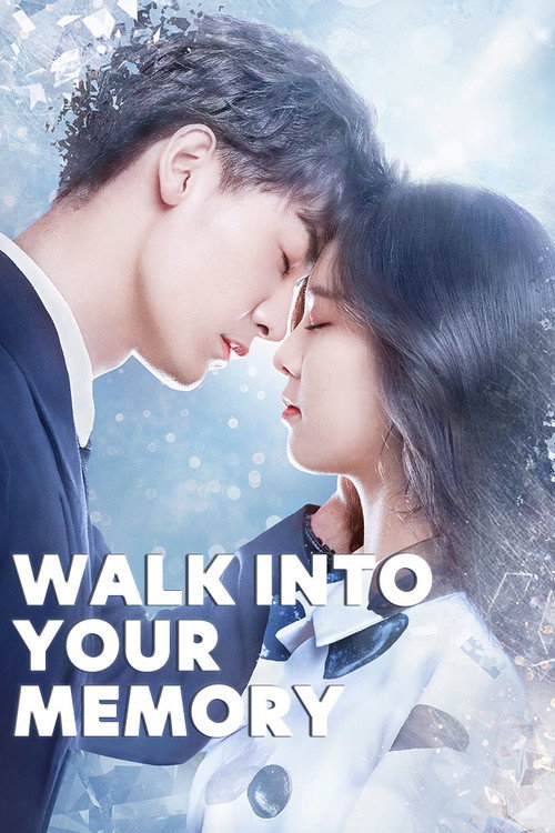 Walk Into Your Memory (2019) TV show poster