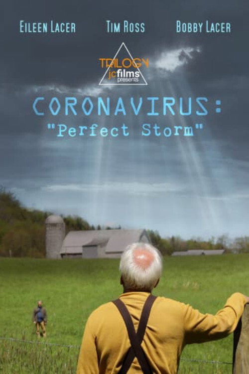 Coronavirus: Perfect Storm (2020) movie poster