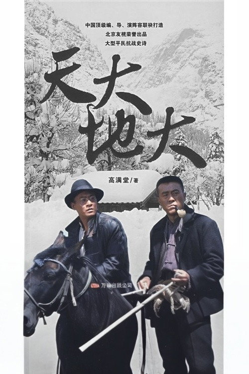 天大地大 (2008) TV show poster