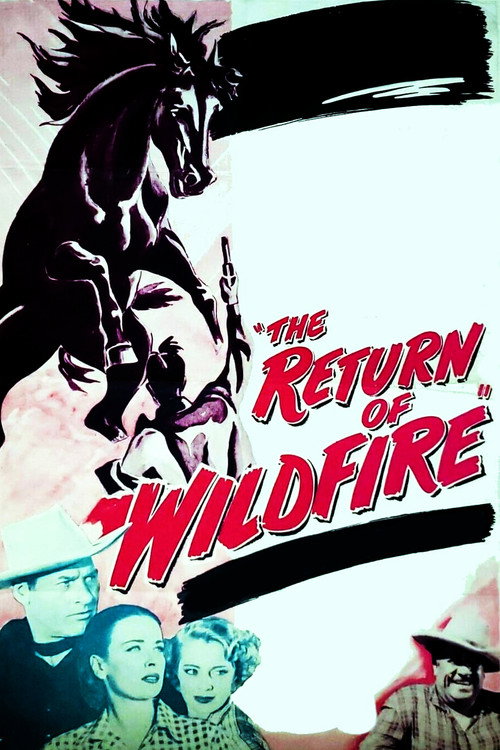 The Return of Wildfire (1948) movie poster