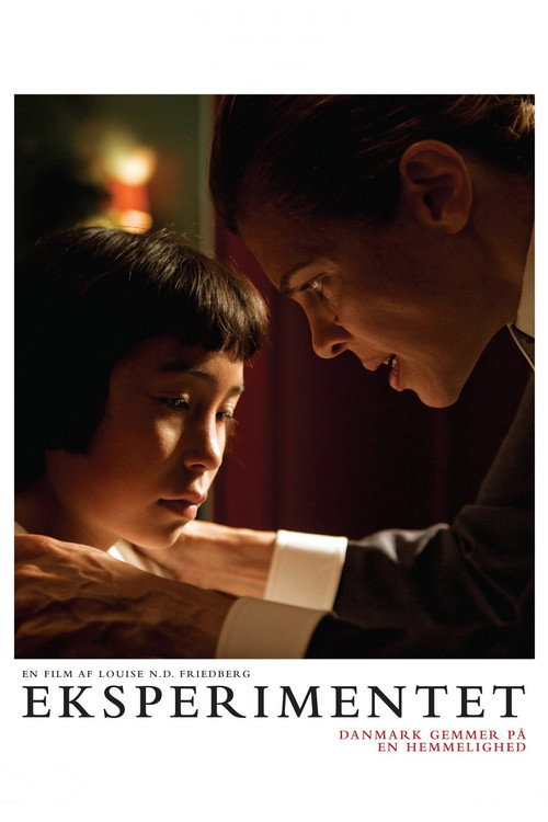 The Experiment (2010) movie poster
