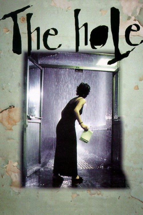 The Hole (1998) movie poster