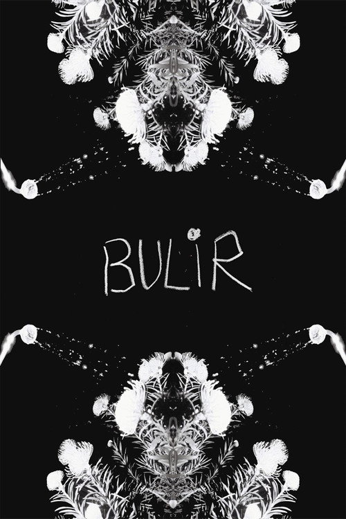 BULIR (2024) movie poster