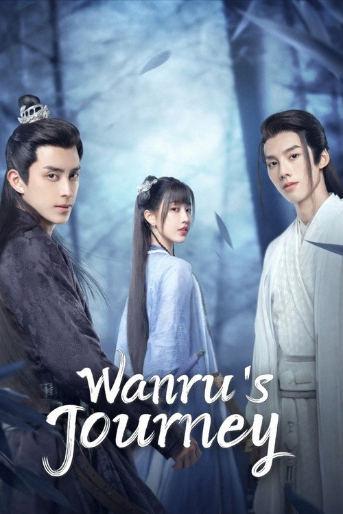 Wanru's Journey (2023) TV show poster