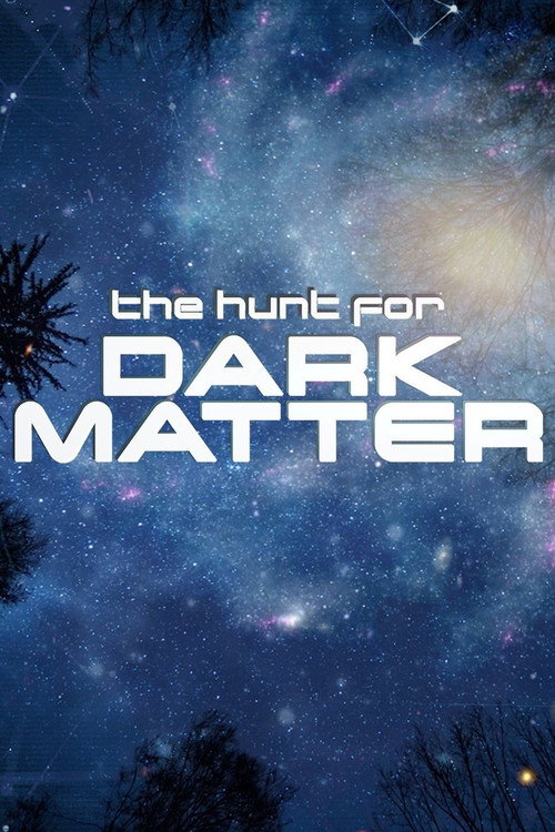 The Hunt for Dark Matter (2017) movie poster