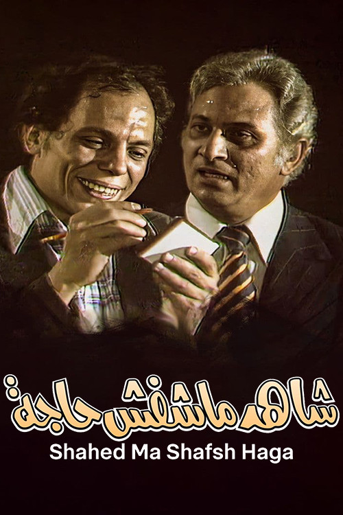 The Witness Who Didn't See Anything (1976) movie poster