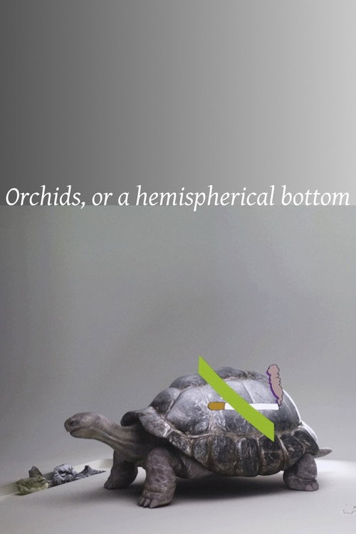 Orchids, or a hemispherical bottom (2013) movie poster