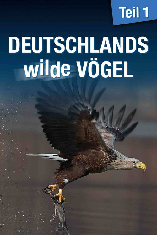 Deutschlands wilde Vögel (2013) movie poster