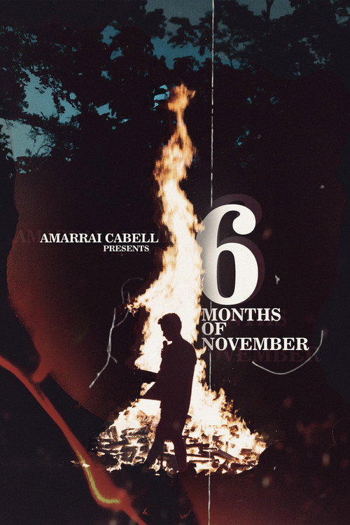 6 Months of November (2022) movie poster